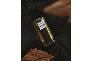 香奈儿梧桐影木香水怎么样，香奈儿梧桐影木香水好用吗