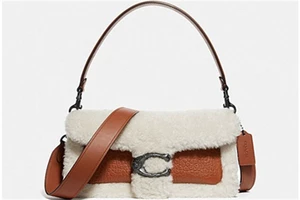 coach是什么牌子，它的价位是奢侈品吗，女孩入门的轻奢包包