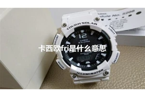 卡西欧fri是什么意思