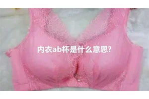 内衣ab杯是什么意思?