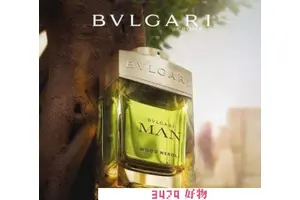 宝格丽森林之光和城市森林哪个好闻、都适合什么年龄