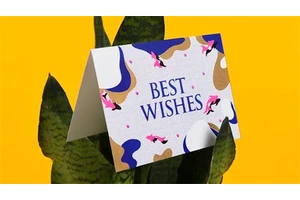 best wishes啥牌子