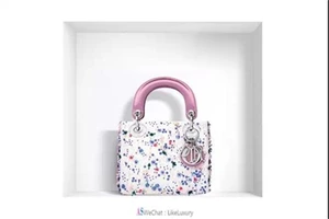 Dior包包的高级感，女生典雅配饰的首选