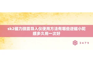 sk2磁力微震导入仪使用方法有哪些逆磁小陀螺多久用一次好