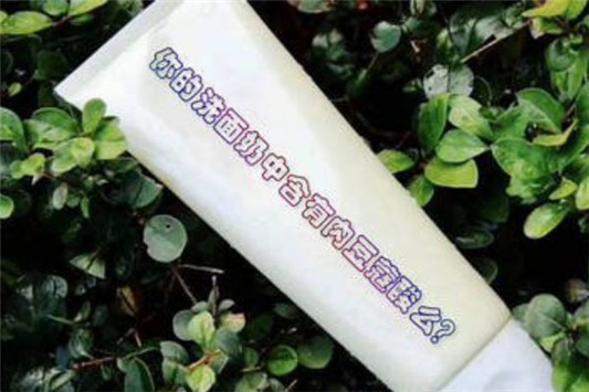 肉豆蔻酸对皮肤有害吗 肉豆蔻酸 洗面奶 第1张