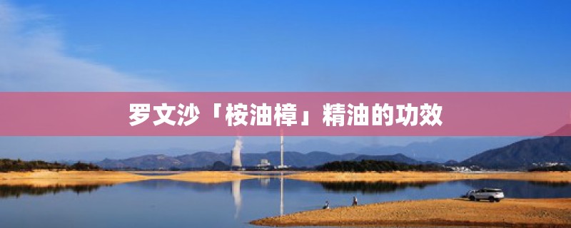 罗文沙「桉油樟」精油的功效