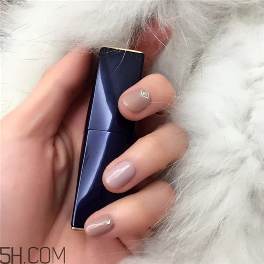 雅诗兰黛倾慕320颜色，雅诗兰黛倾慕320好看吗 雅诗兰黛 雅诗兰黛倾慕320颜色 雅诗兰黛倾慕320好看吗 第2张