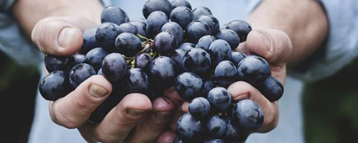 怎样消除眼部浮肿 消除眼部浮肿 美妆 第3张