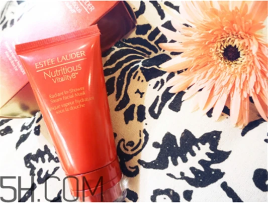 雅诗兰黛红石榴日霜和晚霜哪个好，雅诗兰黛红石榴泡澡面膜好用吗 雅诗兰黛 雅诗兰黛红石榴日霜和晚霜哪个好 雅诗兰黛红石榴泡澡面膜好用吗 第3张