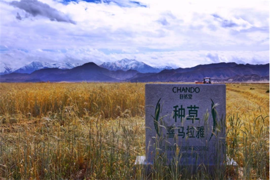 自然堂冰肌水公益再出发，快来延续喜马拉雅的自然之美 自然堂冰肌水 自然堂冰肌水公益再出发 快来延续喜马拉雅的自然之美! 护肤品十大排名 第6张