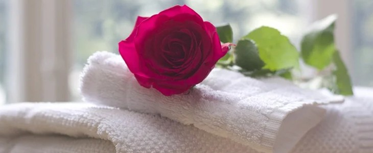 喝牛奶美白吗 牛奶 美白 美妆 第2张