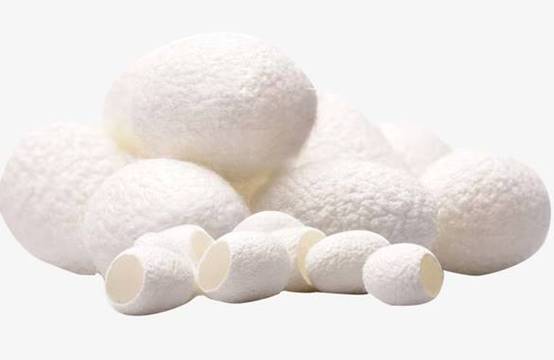 蚕茧能清洁毛孔吗 蚕茧 清洁毛孔 美妆 第1张