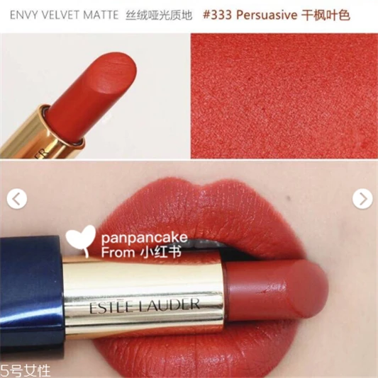 雅诗兰黛333口红试色，最美的干枫叶色 雅诗兰黛口红 雅诗兰黛333口红试色 第10张