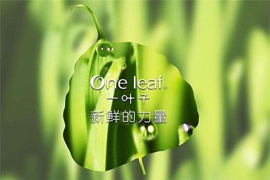一叶子适合什么年龄段的人使用 一叶子 面膜 第1张