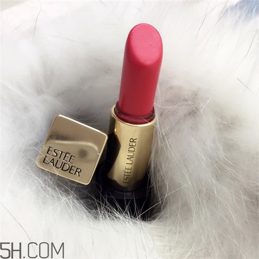 雅诗兰黛倾慕320颜色，雅诗兰黛倾慕320好看吗 雅诗兰黛 雅诗兰黛倾慕320颜色 雅诗兰黛倾慕320好看吗 第1张