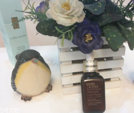 雅诗兰黛适合痘痘肌吗 雅诗兰黛 第2张