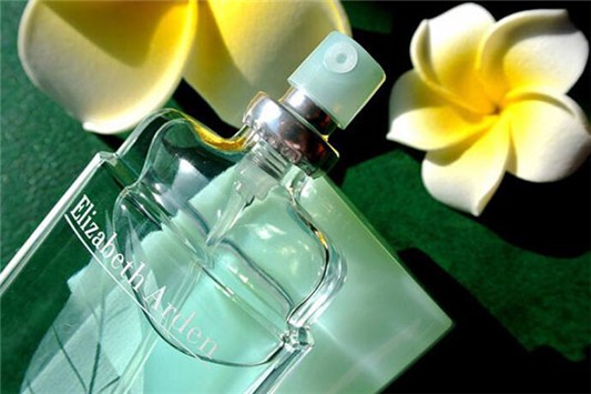 伊丽莎白雅顿香水好闻吗 伊丽莎白雅顿 香水 第1张 伊丽莎白雅顿香水好闻吗 伊丽莎白雅顿 香水 第1张