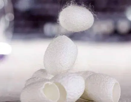 天然去黑头蚕茧有没有用 去黑头 去黑头蚕茧 美妆 第3张