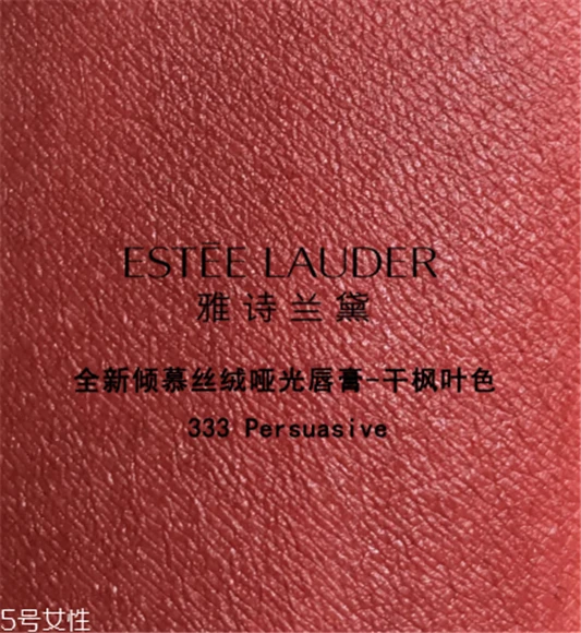 雅诗兰黛333口红试色，最美的干枫叶色 雅诗兰黛口红 雅诗兰黛333口红试色 第5张