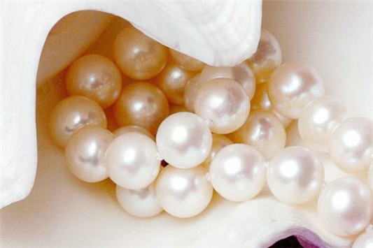 珍珠粉去黑头的原理? 珍珠粉 第1张