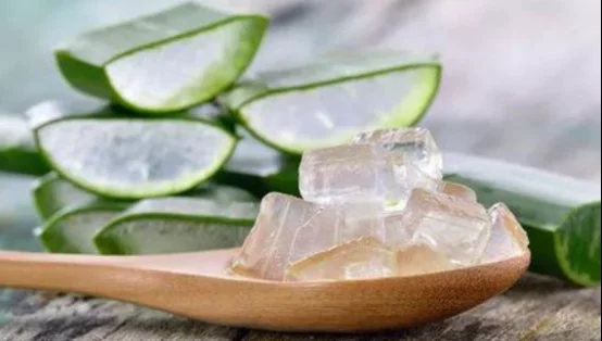 橄榄油加芦荟有什么护肤作用 芦荟 橄榄油 美妆 第3张