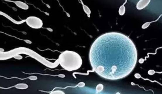 精子敷面膜真的可以改善皮肤 面膜 精子敷面膜 美妆 第1张 精子敷面膜真的可以改善皮肤 面膜 精子敷面膜 美妆 第1张