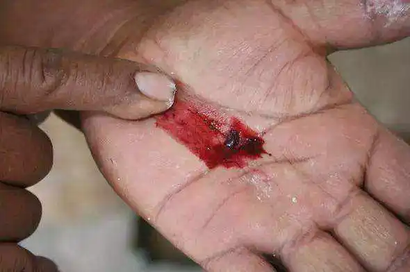 口红里面真的有虫子吗 口红 胭脂虫 胭脂虫红 美妆 第2张