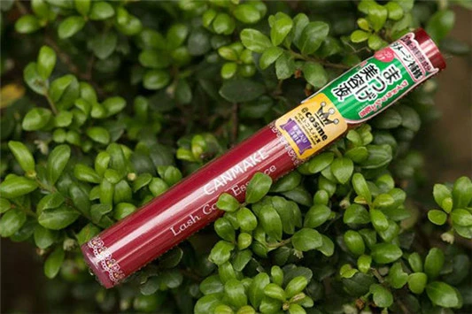 日本CANMAKE毛发增长液好用吗 CANMAKE 睫毛增长液 第3张