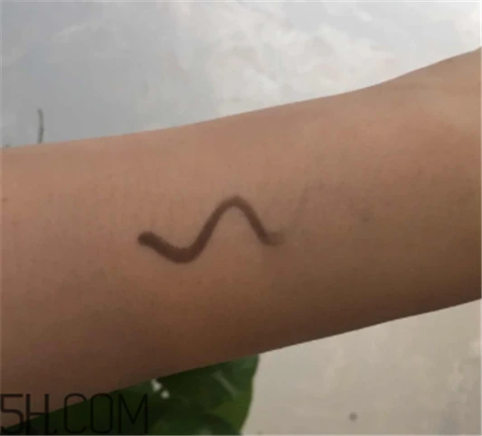 雅诗兰黛持妆粉底液66号适合黄皮吗，真人试色 雅诗兰黛 粉底液 雅诗兰黛持妆粉底液 第3张