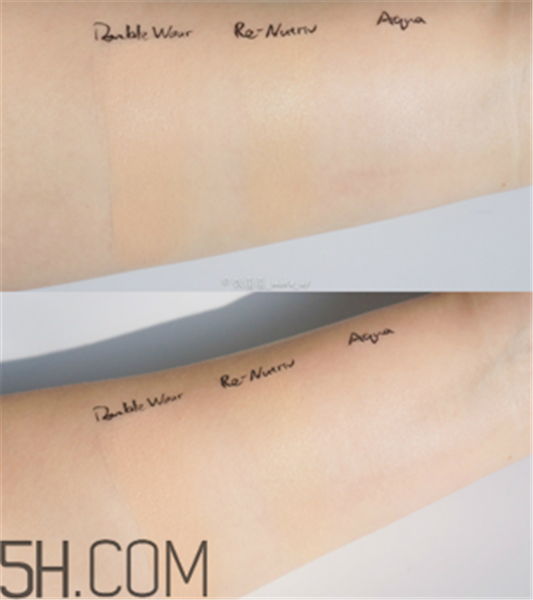 雅诗兰黛三款粉底液测评，雅诗兰黛和阿玛尼粉底液哪个好 雅诗兰黛 雅诗兰黛三款粉底液测评 雅诗兰黛和阿玛尼粉底液哪个好 第1张