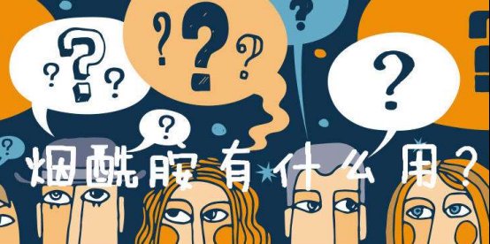 长期用烟酰胺有什么危害 烟酰胺 烟酰胺危害 美妆 第1张