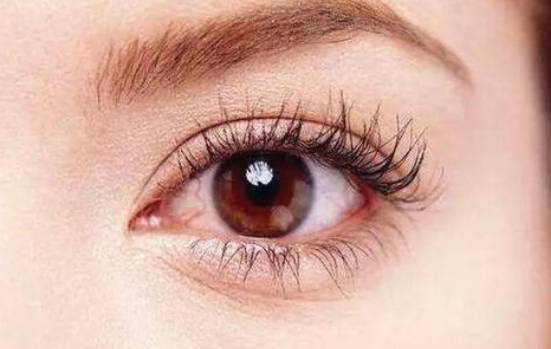 眼下细纹与阴德纹的区别 眼下细纹 阴德纹 美妆 第1张