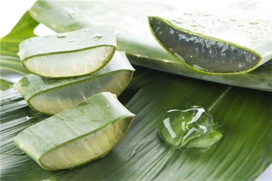 面霜和芦荟胶哪个先涂 面霜 芦荟制品 第1张