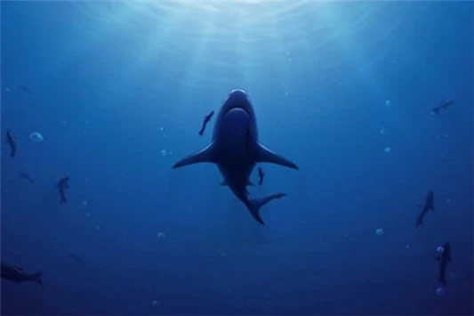 雅诗兰黛小棕瓶成分 雅诗兰黛 小棕瓶 第2张