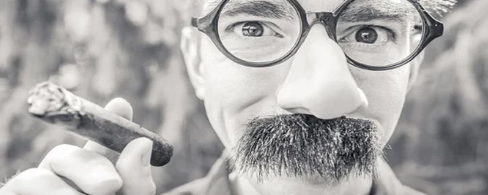 怎么让鼻子变好看 鼻子 美妆 第2张