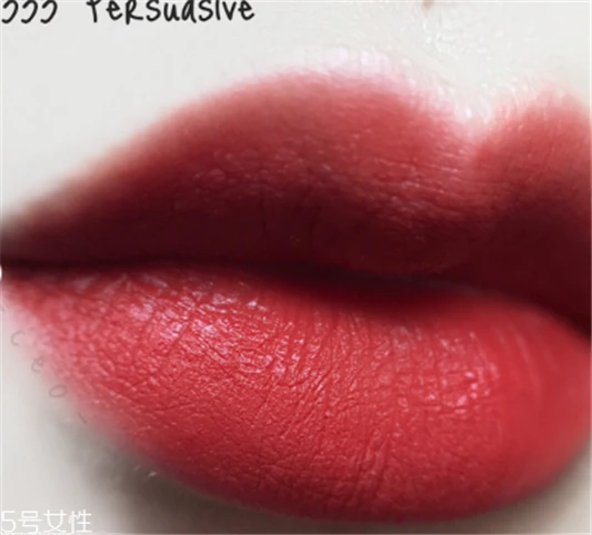 雅诗兰黛333口红价格，今年秋冬你一定缺一支 雅诗兰黛口红 雅诗兰黛333口红价格 第3张