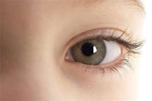 眼霜保质期多久 眼霜 护肤品 第1张 眼霜保质期多久 眼霜 护肤品 第1张