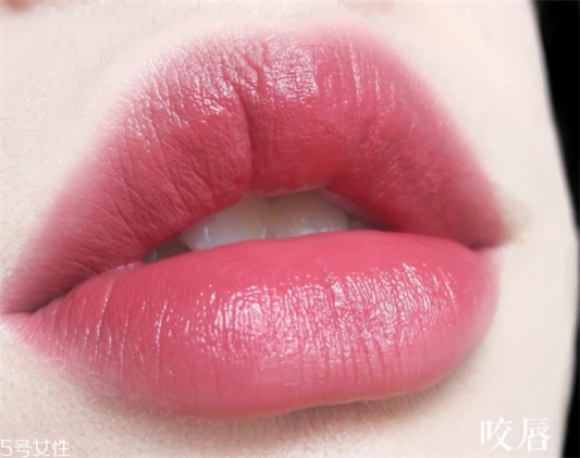 雅诗兰黛420什么味道，小时候妈妈口红的味道 雅诗兰黛 雅诗兰黛口红 雅诗兰黛420什么味道 第5张