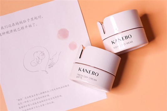 佳丽宝旗下品牌有哪些 佳丽宝 芙丽芳丝 第1张