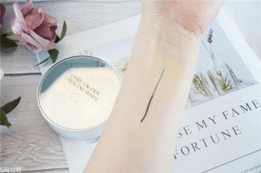 雅诗兰黛晶透沁白气垫遮瑕效果好吗，和dw气垫哪个好 雅诗兰黛 气垫霜 雅诗兰黛晶透沁白气垫遮瑕效果好吗 第2张