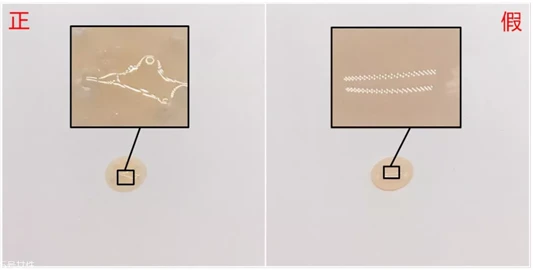 雅诗兰黛小棕瓶精华真假辨别，8张图轻松认出假货 雅诗兰黛 雅诗兰黛小棕瓶精华真假辨别 第9张
