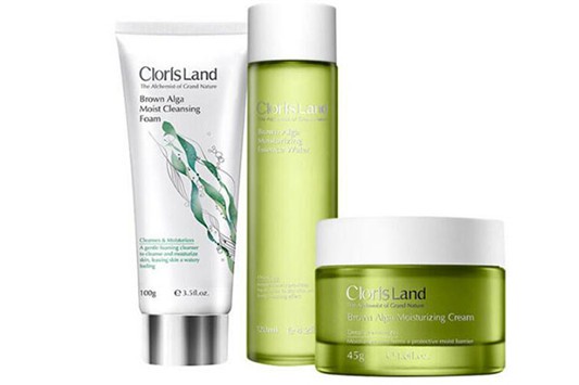 花皙蔻适合什么年龄 花皙蔻 第1张