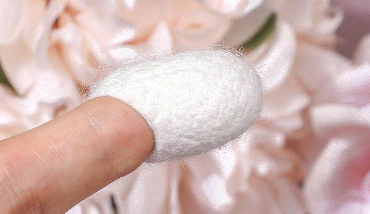 天然蚕茧能去黑头吗 天然蚕茧 护肤 美妆 第1张