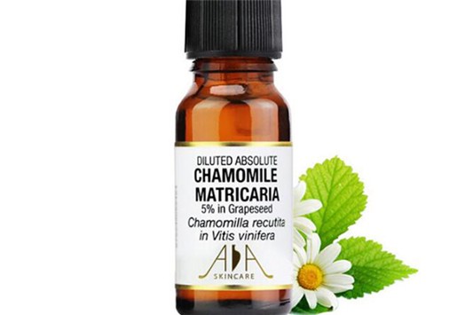 洋甘菊精油功效有哪些 精油 第1张