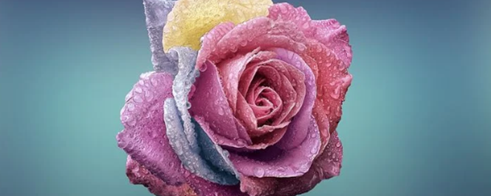 怎么脱毛才彻底 脱毛 美妆 第2张