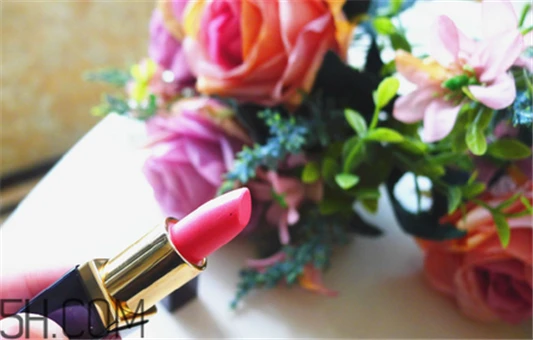 雅诗兰黛和迪奥口红哪个好用，雅诗兰黛和迪奥口红对比测评 口红 雅诗兰黛和迪奥口红哪个好用 雅诗兰黛和迪奥口红对比测评 第7张