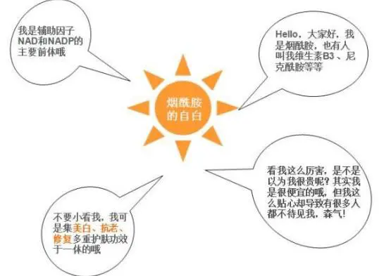 长期用烟酰胺有什么危害 烟酰胺 烟酰胺危害 美妆 第2张