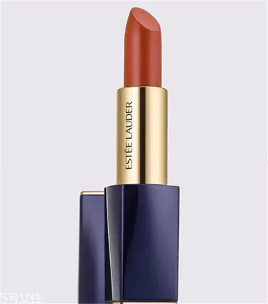 雅诗兰黛333口红试色，最美的干枫叶色 雅诗兰黛口红 雅诗兰黛333口红试色 第3张