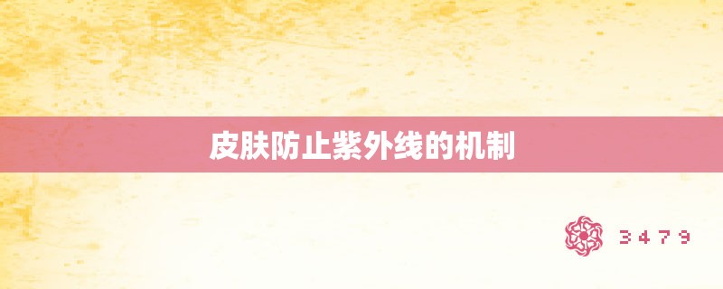 皮肤防止紫外线的机制