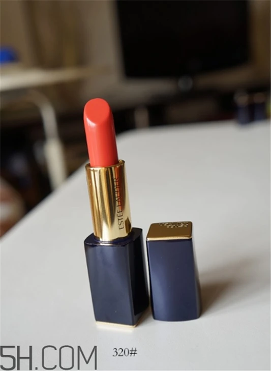 雅诗兰黛倾慕320颜色，雅诗兰黛倾慕320好看吗 雅诗兰黛 雅诗兰黛倾慕320颜色 雅诗兰黛倾慕320好看吗 第3张